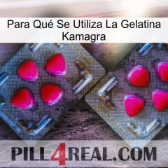 Para Qué Se Utiliza La Gelatina Kamagra 15